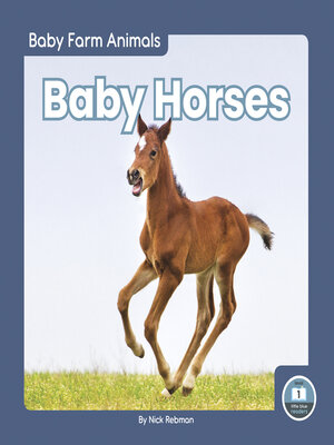 cover image of Baby Horses